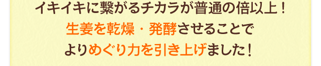 イキイキに繋がるチカラが普通の倍以上! 生姜を乾燥・発酵させることでよりめぐり力を引き上げました！